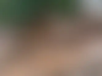 Moradores denunciam descarte irregular de lixo no bairro Los Angeles