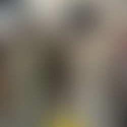 PF apreende quase três toneladas de maconha e recupera veículos furtados no Paraná