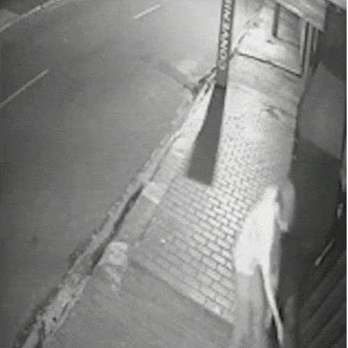 Ladrão entrando em casa no Residencial Oliveira - Imagem: Campo Grande News