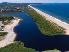 Preservação da Mata Atlântica é destaque no Summit Agenda SP + Verde