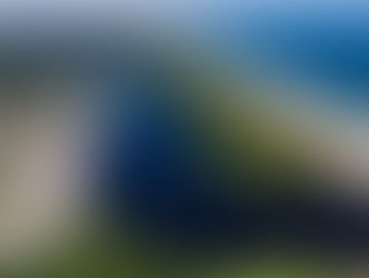 Preservação da Mata Atlântica é destaque no Summit Agenda SP + Verde