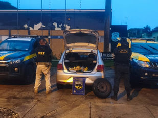 Perseguição termina com mais de 60kg de maconha apreendidos