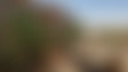 Anvisa suspende suplementos alimentares de duas marcas; confira