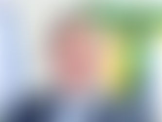Em prisão domiciliar, Bolsonaro é convidado para posse de Nunes Marques