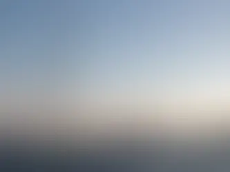 Brasileiros detidos em flotilha por Israel chegam ao Brasil