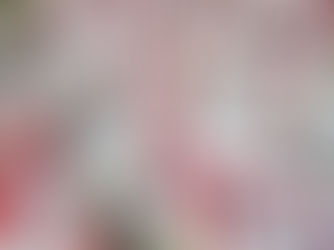 Genética avícola e suína ganha destaque no SIAVS 2026 como base da eficiência produtiva