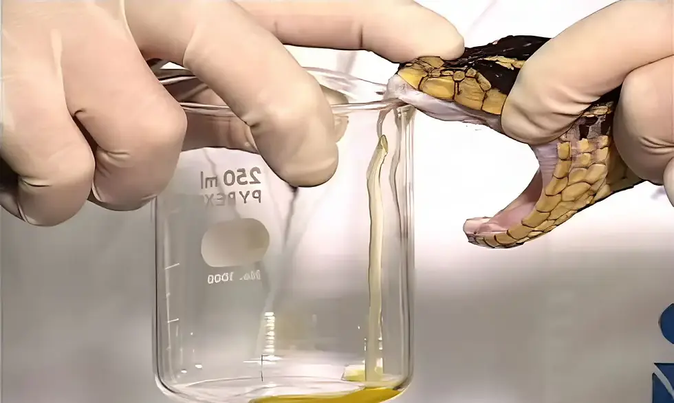 © Instituto Vital Brasil