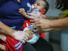 Sábado é o Dia D da Campanha Nacional de Multivacinação
