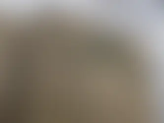 Era boato: atestados médicos de papel vão continuar válidos em 2026