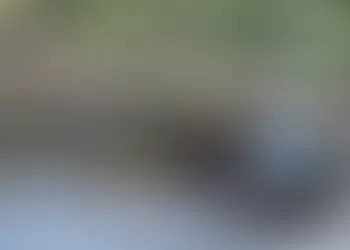 1,5 milhão de imóveis estão sem energia em SP após passagem de ciclone