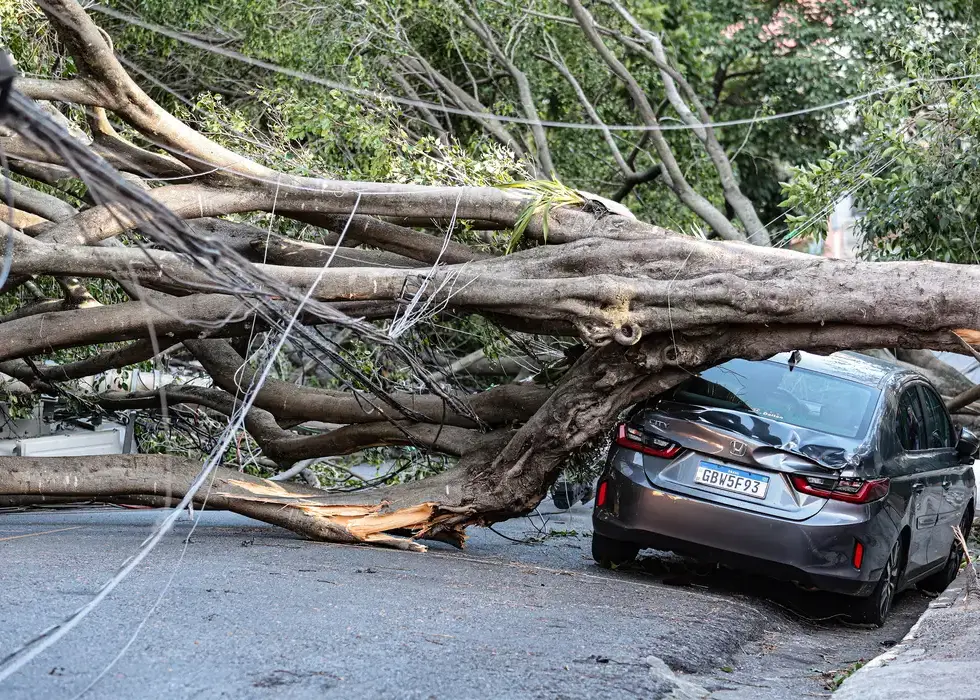 1,5 milhão de imóveis estão sem energia em SP após passagem de ciclone