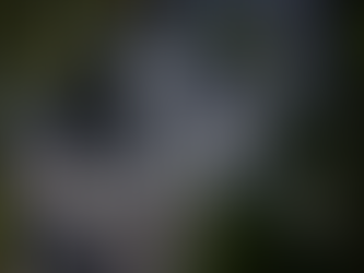 Warner rejeita oferta de US$ 108 bilhões da Paramount e recomenda proposta da Netflix