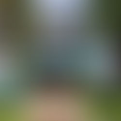 Prefeitura de Campo Grande vai apurar denúncia de assédio contra comissionado