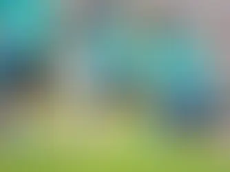 Seleção brasileira se prepara para amistoso contra Coreia do Sul