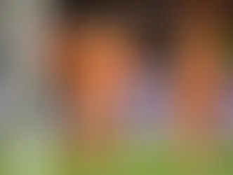 Holanda goleia Suécia, supera Brasil e detém a maior invencibilidade das Copas
