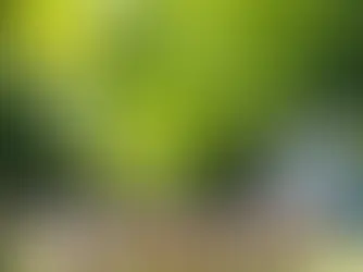 A pequena cidade de Nova Iorque onde médiuns dão voz aos mortos.