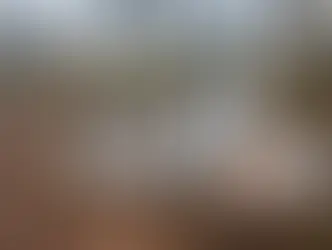 Restos mortais foram encontrados durante liberação dos destroços da aeronave em Campo Grande