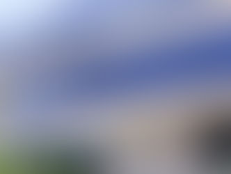 Câmara precisa da maioria simples dos votos para derrubar veto a projeto que altera taxa do lixo