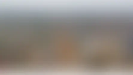 Lista: confira os bairros que lideram valorização imobiliária anual em Campo Grande