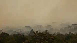 Ibama conta 4,6 mil brigadistas para combater incêndios neste ano