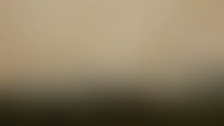 Ibama conta 4,6 mil brigadistas para combater incêndios neste ano