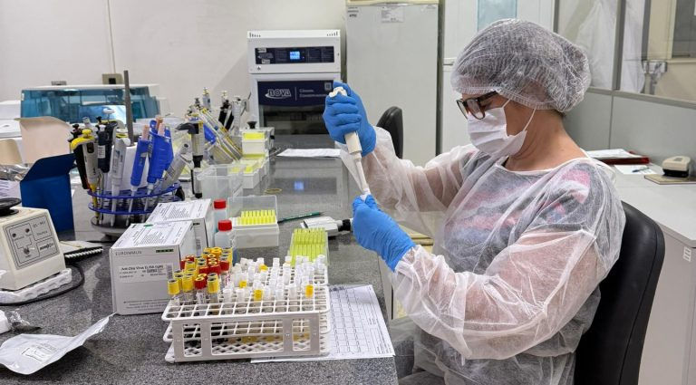 Vale da Celulose: base florestal em Mato Grosso do Sul deve crescer 40% até 2028