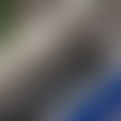 Caso Master: vídeo mostra dinheiro jogado pela janela durante operação da PF