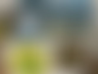 PF e PM, em ação conjunta, apreendem mais de 330 kg de maconha em Foz do Iguaçu