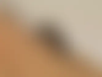 Apesar de morte e surto em Dourados, Campo Grande não tem casos de chikungunya em 2026