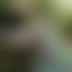 Com investimento de R$ 7 milhões, obras do Parque do Ceuzinho têm início na próxima semana