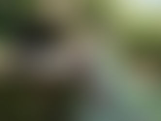 Com investimento de R$ 7 milhões, obras do Parque do Ceuzinho têm início na próxima semana