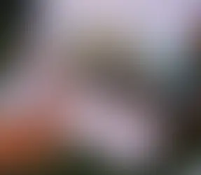 Câmara vai analisar separar taxa do lixo do carnê de IPTU em Campo Grande