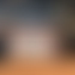 PF promove a destruição de aproximadamente 1,3 tonelada de drogas