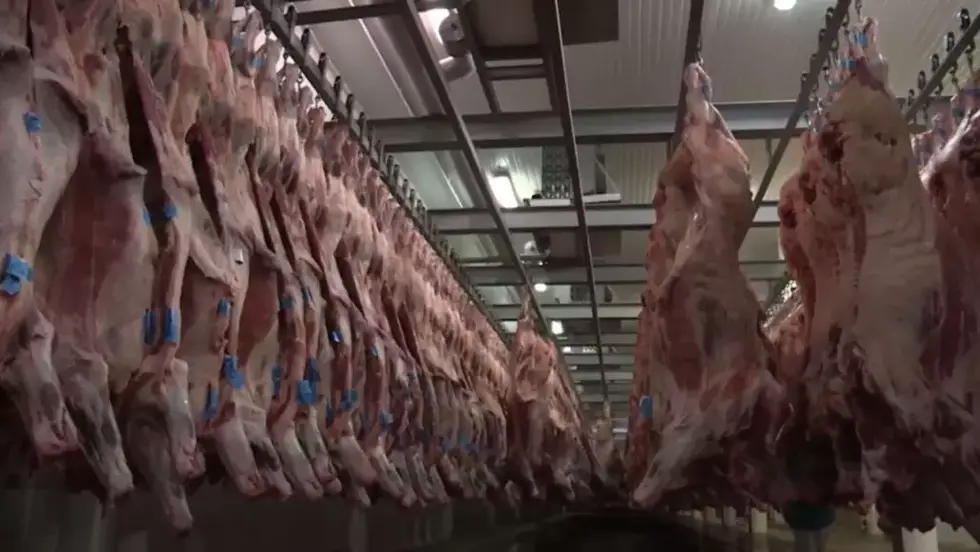 Venda de carne bovina de MS cai 28% em agosto com recuo da China