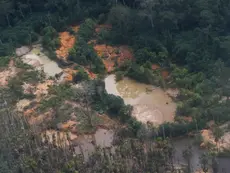 Edital prorroga inscrições para restauração em terras indígenas