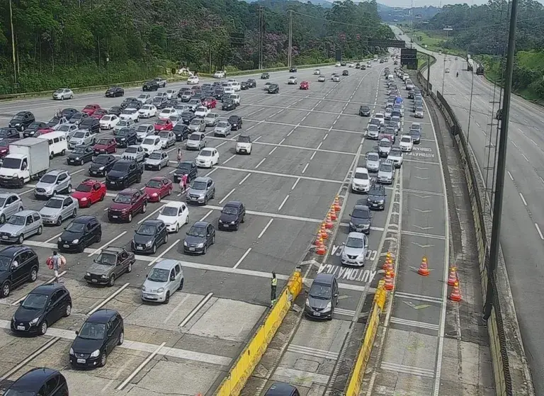 Governo de SP assina convênio para instalar Muralha Paulista em parques e rodovias