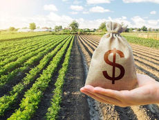 Dívidas rurais: presidente da CAE relata encontro com ministro da Fazenda Fonte: Agência Senado