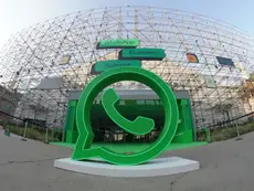 WhatsApp deixará de exigir número de telefone para contato entre usuários