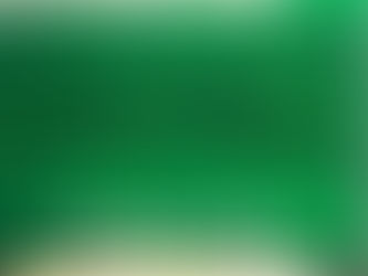 FICCO/PR apreende mais de 200 kg de drogas em Campo Largo