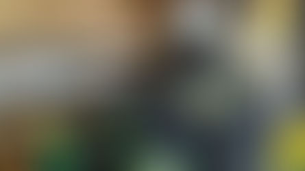 Polícia Federal incinera 4 toneladas de drogas em Mato Grosso do Sul