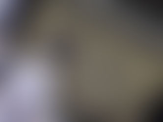 ‘Era de ouro’: Ibovespa empilha recordes e tem melhor início de ano desde 1999