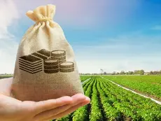 Endividamento rural contrasta com a força produtiva de Mato Grosso evidenciada pelos dados do VBP