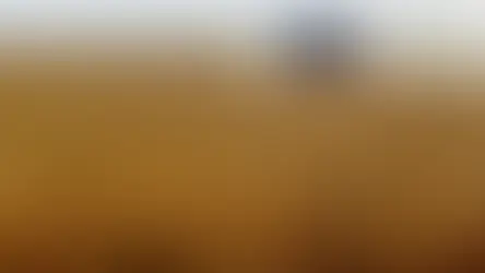 Governo edita MP que libera até R$ 8 mi por produtor para renegociar dívidas rurais