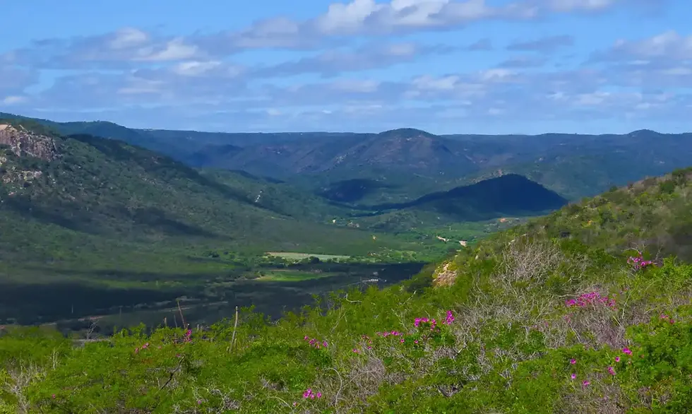 Rio Grande do Norte cria nova unidade de conservação da Caatinga