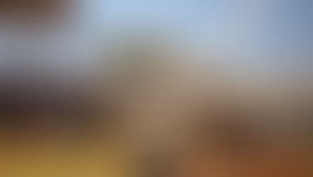 Boom industrial impulsiona capacitação e coloca Mato Grosso do Sul entre os líderes em emprego