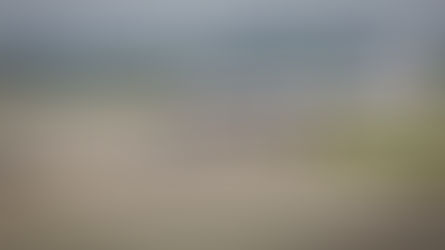 Buscas pelo avião da Malaysia Airlines são retomadas dez anos depois