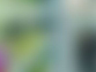 Funcionamento de farmácias em supermercados terá novas exigências