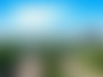 Capital mais arborizada do Brasil ganha destaque internacional e amplia metas para 2026