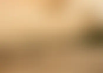 Plano Clima é publicado como um guia para economia de baixo carbono