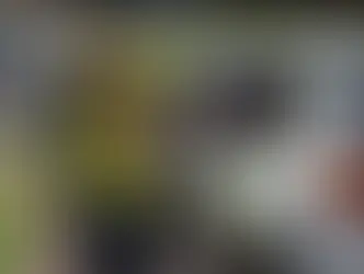 Manifestantes de direita concluem 6° dia de adesivaço ‘Acorda Brasil’ em Campo Grande